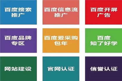 掌握SEM竞价技巧：从案例看效果提升